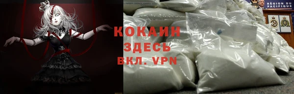 крисы Зеленодольск