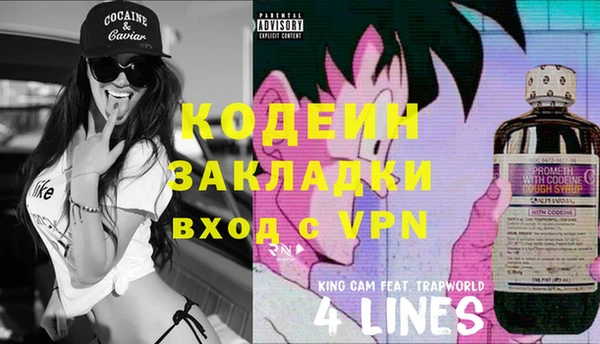 прущие грибы Заволжск