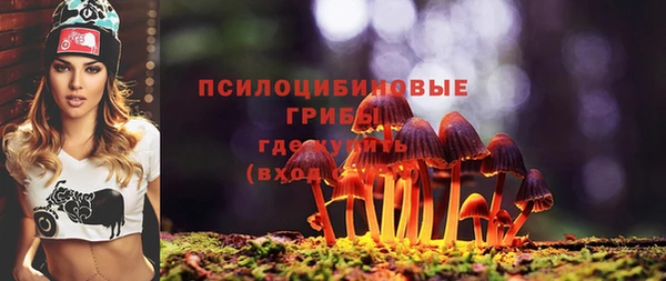 ешки Заводоуковск