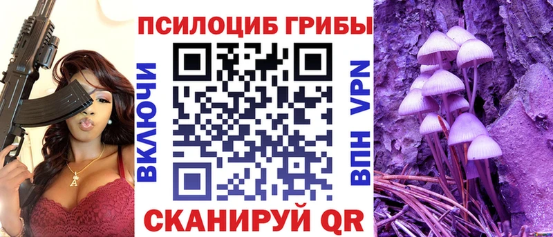 Купить закладки  Краснотурьинск  Галлюциногенные грибы мухоморы 